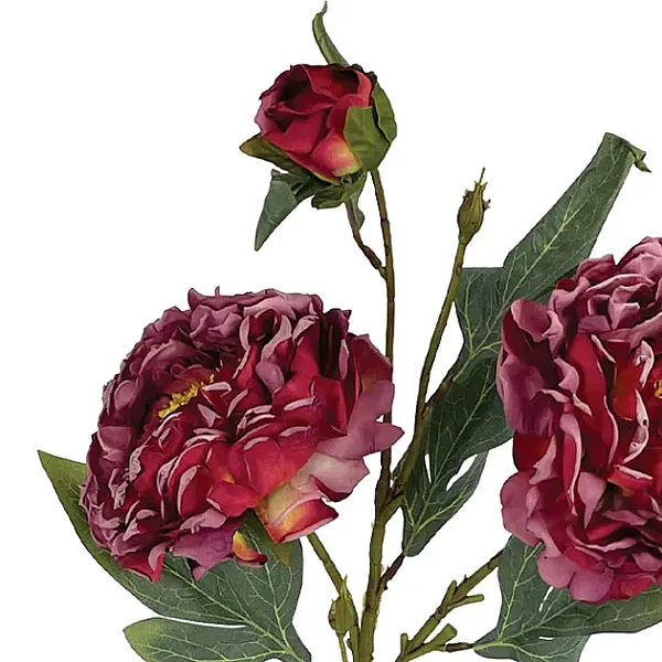 images/categories_images/thumbs/thumb_Kladia 2025a.webp